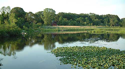chester creek